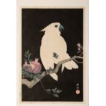 OHARA KOSON (1877-1945) SHOWA ERA, C.1927 A Japanese woodblock print entitled 'Cockatoo and