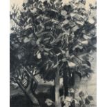 ‡Lord Paul Ayshford Methuen RBA, RA (1886-1974) Trees Signed P.Methuen (lower right) Charcoal 56 x
