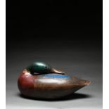 ‡Guy Taplin (b.1939) Mallard Signed, inscribed and dated MALLARD 1998/TAPLIN (to underside)