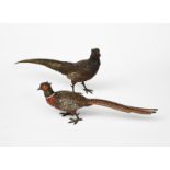 Two large cold-painted bronze models of pheasants, each modelled standing, in colours unsigned 22cm.