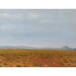 M J McNaughton - Extensive desert landscape with distant mountains, oil on linen, signed, 29 x