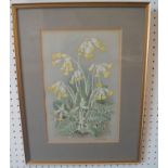 Eleanor Ludgate (20th century British) - Cowslips, gouache on paper, signed, 30.5 x 20cm, together