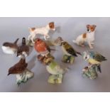 5 Beswick birds comprising robin, wren, goldfinch, blue-tit and one other, together with 2 ceramic