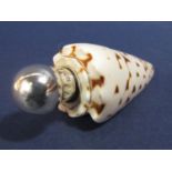 Silver topped scent bottle, the body formed from a sea shell, maker Sampson Mordan & Co., London