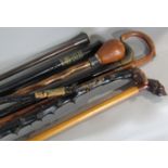 An Irish blackthorn prickly walking stick and six other varying walking sticks and a souvenir