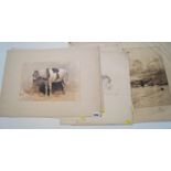 J F Lewis (19th century British school) - Etching of the monkey Jacko after a sketch in the