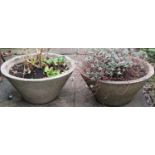 A pair of composition stone garden planters of squat circular tapered form (planted), 54 cm in