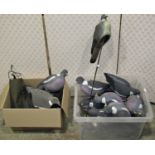 A collection of moulded plastic pigeon decoys