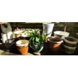 Thirteen weathered contemporary garden planters of varying size and design including glazed examples
