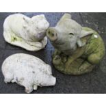 Three small garden ornaments in the form of pigs in various poses, the tallest 32 cm high