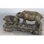 A bronze group of South East Asian water buffalo, mother with calf.14cm wide