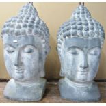 A pair of large composite buddha heads with weathered appearance, 75 cm in height