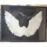 A framed panel depicting angel wings made from white owl feathers, framed and glazed, 70cm x 90cm