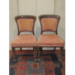 A set of four Victorian mahogany dining chairs with upholstered seats and back pads within a