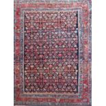 An early 20th century Bijar rug with a Herati all over design. 165cm x 120cm