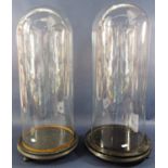 A pair of Victorian glass dome display covers on a circular wooden base. The dome is 49cm x 19cm