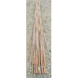 A bundle of approximately 40 bamboo garden canes 244 cm (8ft) long