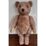 Vintage Steiff teddy bear 1950's/60's with pin in ear, cinnamon fur, pronounced nose. glass eyes,