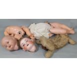 2 antique bisque head dolls for restoration; Heubach doll with blue closing eyes and flicker