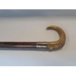 A horn handle walking stick with a monogrammed silver metal band, 81cm approx