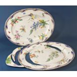 A pair of large 19th century hand painted platters with painted sprays of butterflies,