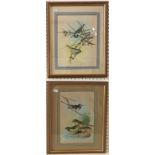 Two paintings of birds in trees, watercolour on silk, unsigned, 20 x 26 cm, both framed and