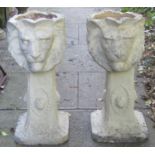 A pair of painted and weathered composition stone lions mask planters raised on square cut and swept