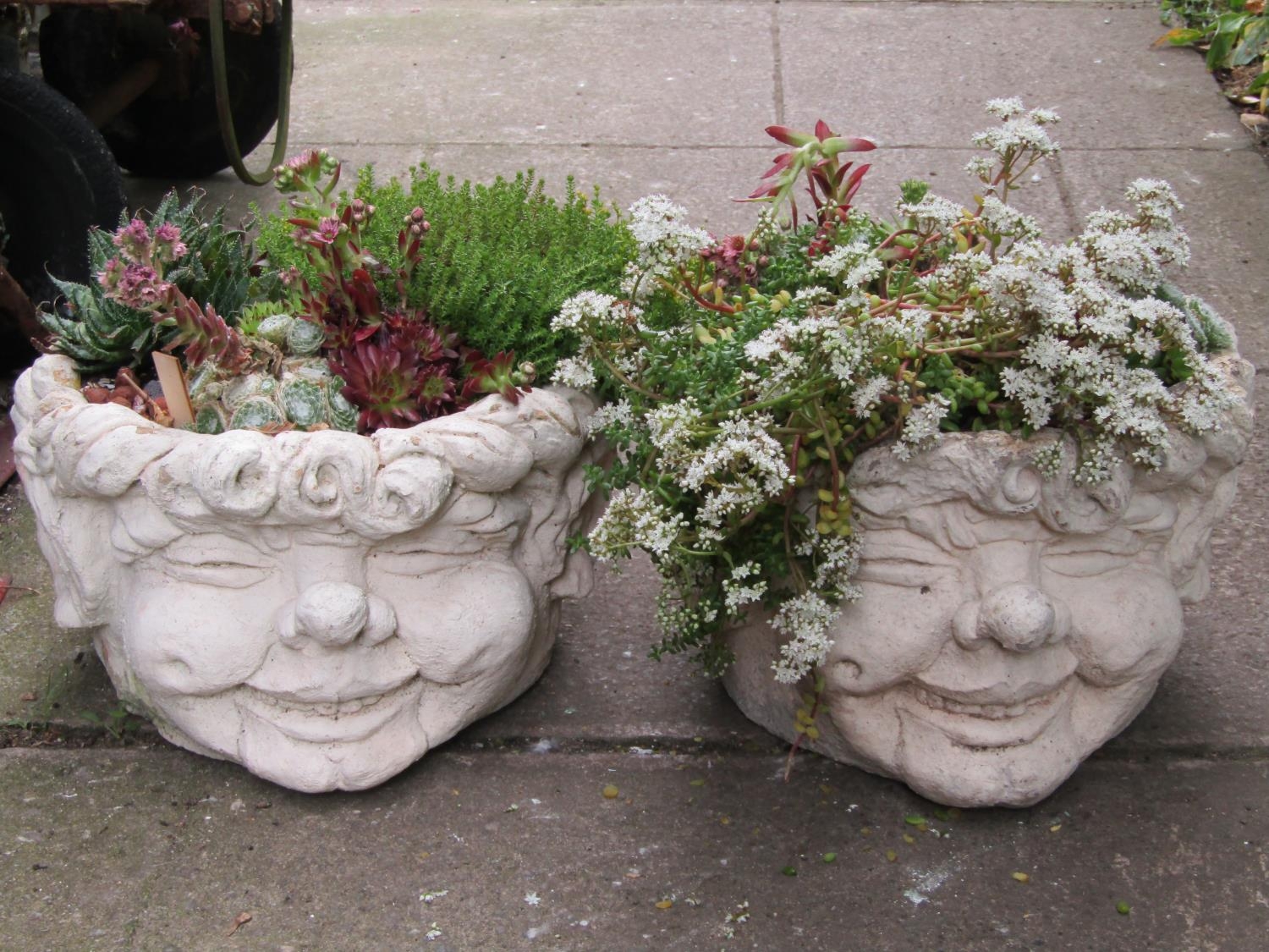 A pair of novelty comical head cast composition stone garden planters (planted) 23 cm high