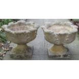 A pair of weathered cast composition stone garden urns with circular acanthus leaf bowls raised on