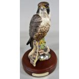 A Royal Doulton Peregrine Falcon, 996/2500 with timber base and certificate