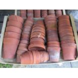 A hundred plus small terracotta flower pots of varying size, the largest examples 13 cm diameter x