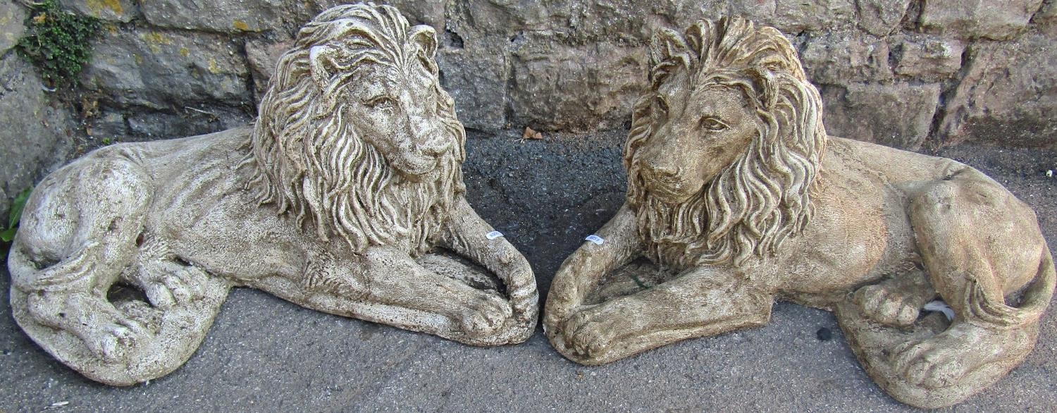 A pair of weathered contemporary cast composition stone recumbent lions, 66 cm wide x 35 cm high