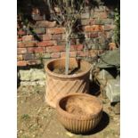 A weathered contemporary terracotta squat cylindrical lattice planter (planted), 48 cm diameter x 39