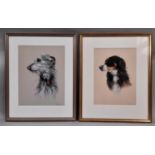 Peter J Rowles Chapman (Contemporary), two pastel studies of dogs, pastel on paper, both signed