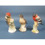 A collection of three ceramic birds comprising woodpecker, bullfinch, thrush, 14cm tall approx