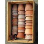 A pine wine crate containing 30 small old terracotta flower pots