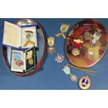 A collection of Masonic regalia comprising eleven silver and silver gilt jewels many with enamel