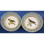 A pair of 19th century French decorative wall plates, each showing individual finches on boughs
