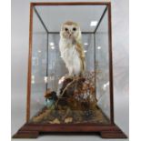 Taxidermy in the form of a barn owl with a mouse in its beak, set on a stump amongst an autumnal