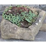 A weathered irregular shaped rough-hewn natural stone trough approx 60 cm wide x 55 cm deep x 20