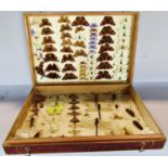 Lepidoptera : A simple pine box with a collection of mainly butterflies and moths and a few