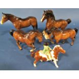 Five Beswick horses including a girl riding a pony