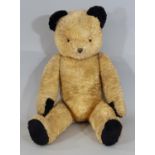 A large 1950s gold plush Sooty type teddy bear with black paw pads and ears, jointed firmly