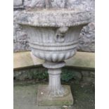 A weathered cast composition stone garden urn, raised on square based socle, approx 60 cm diameter x