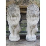 A pair of weathered cast composition stone garden/pier ornaments in the form of seated lions 50 cm
