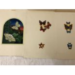 Una Woodruff (b.1951) - Three watercolour studies of butterflies, one in window scene, 18 x 23 cm (