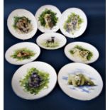 A collection of eight David Shepherd Conservation Foundation collectors plates by Wedgwood with