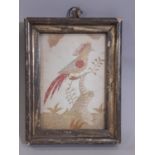 silk needlework of bird on branch (c.18th century), frame: 15 x 11.5 cm, framed and glazed