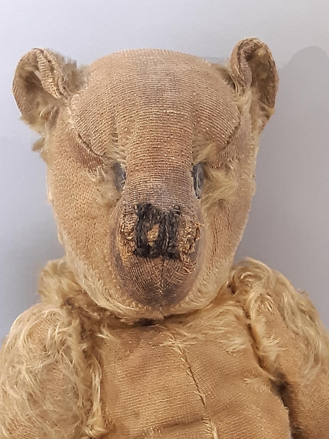 2 early 20th century teddy bears both with jointed body, pronounced muzzle and stitched nose - Image 4 of 7