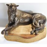 A bronze finished recumbent cheetah initialled B M below, resting on an oak block, 36cm wide approx.